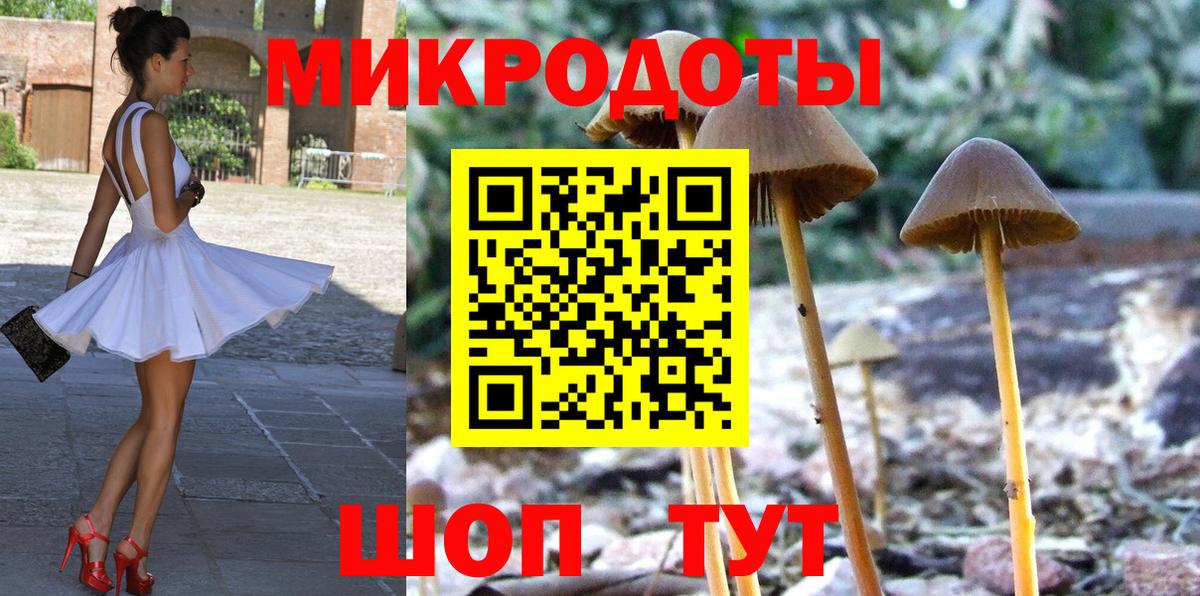 Галлюциногенные грибы Psilocybe Дзержинский
